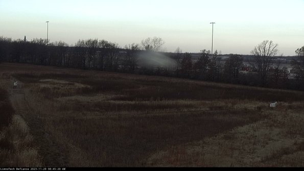 Cell 2_23-11-29_08-45-20-82