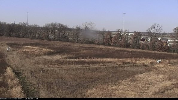 Cell 2_23-11-29_12-39-45-81