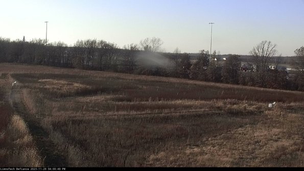 Cell 2_23-11-29_16-00-40-81