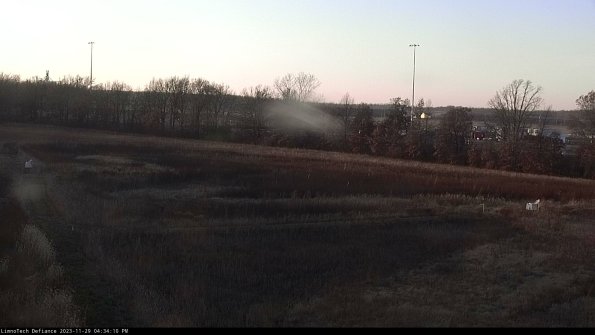 Cell 2_23-11-29_16-34-10-79