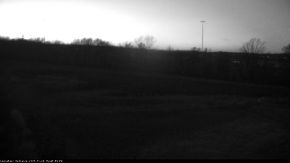 Cell 2_23-11-29_17-41-09-82