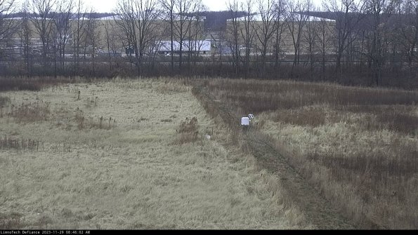 Cell 3 to 4_23-11-29_08-46-02-79