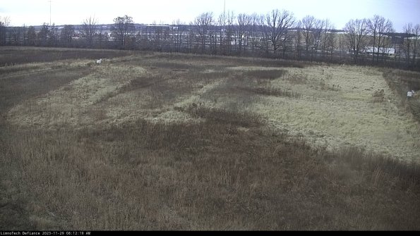 Cell 3_23-11-29_08-12-19-77