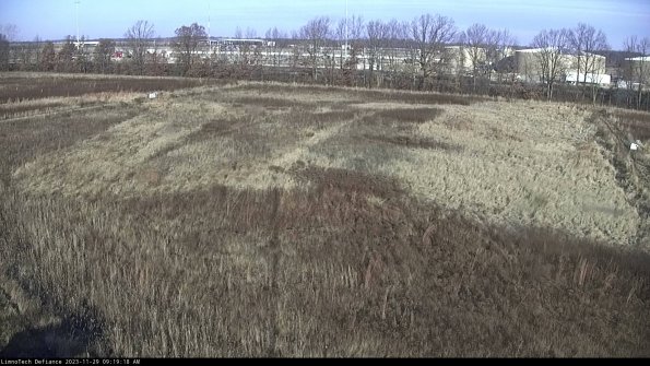 Cell 3_23-11-29_09-19-18-79