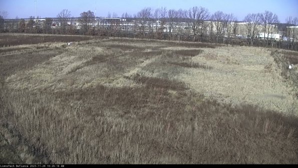 Cell 3_23-11-29_10-26-17-02