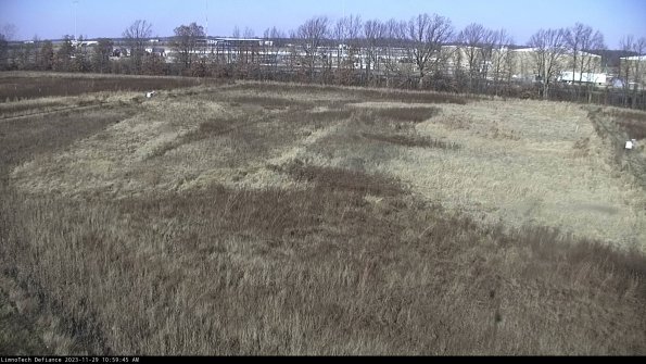 Cell 3_23-11-29_10-59-45-80