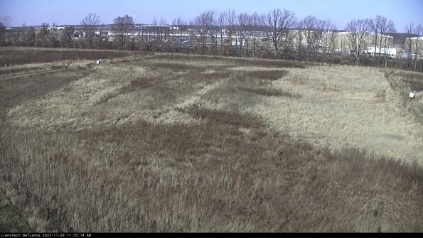 Cell 3_23-11-29_11-33-14-98