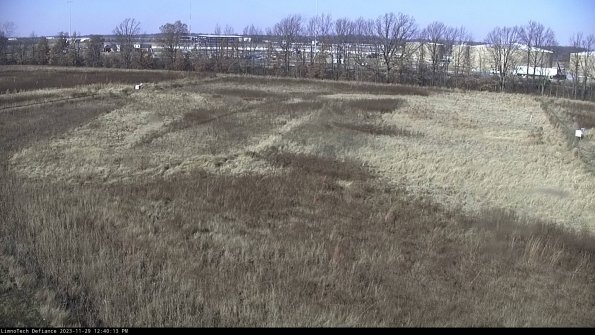 Cell 3_23-11-29_12-40-13-77