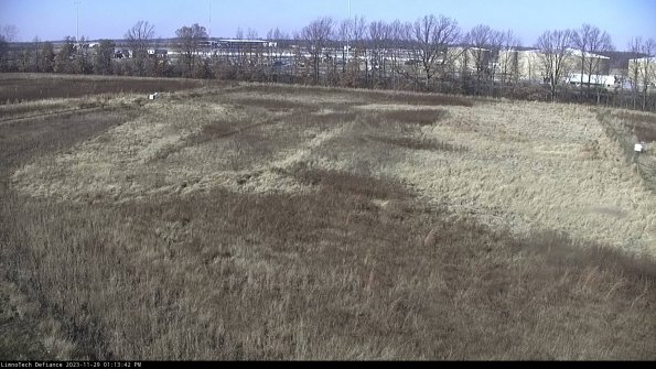 Cell 3_23-11-29_13-13-42-79