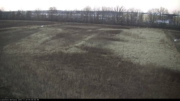 Cell 3_23-11-29_17-08-06-80