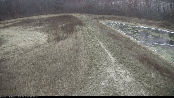 Cell 4 to Basin_23-11-29_08-13-17-79