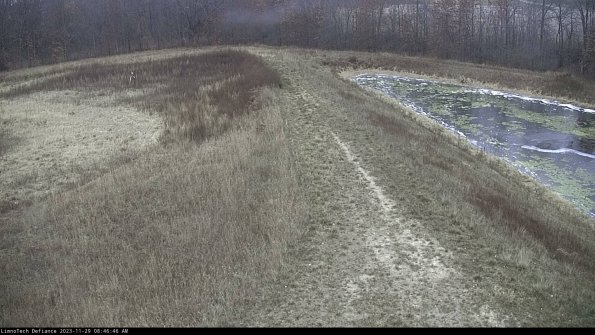 Cell 4 to Basin_23-11-29_08-46-46-80