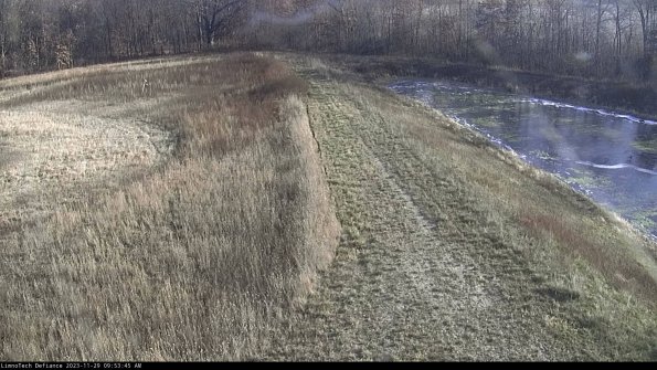 Cell 4 to Basin_23-11-29_09-53-45-79