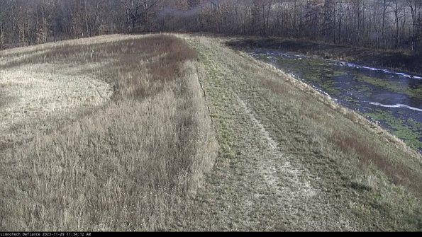 Cell 4 to Basin_23-11-29_11-34-12-77