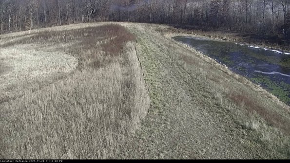 Cell 4 to Basin_23-11-29_13-14-40-78