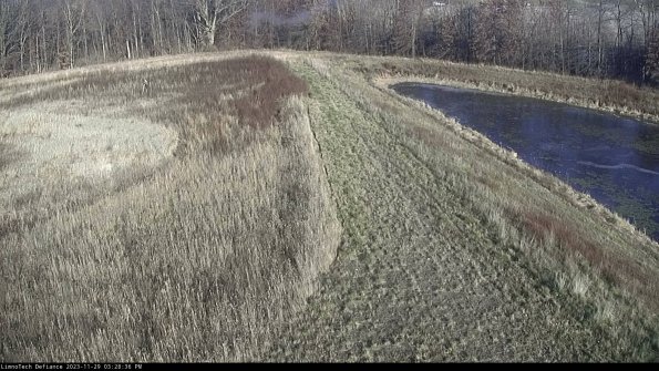 Cell 4 to Basin_23-11-29_15-28-36-81