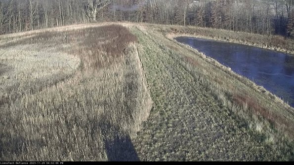 Cell 4 to Basin_23-11-29_16-02-06-80