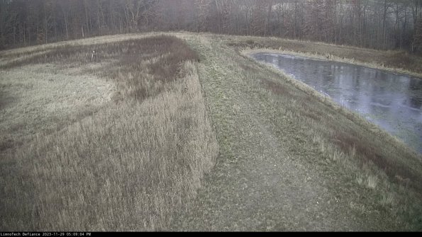 Cell 4 to Basin_23-11-29_17-09-04-79