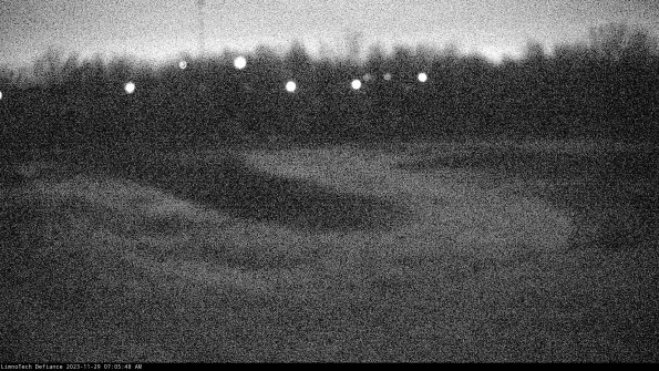 Cell 4_23-11-29_07-05-48-81