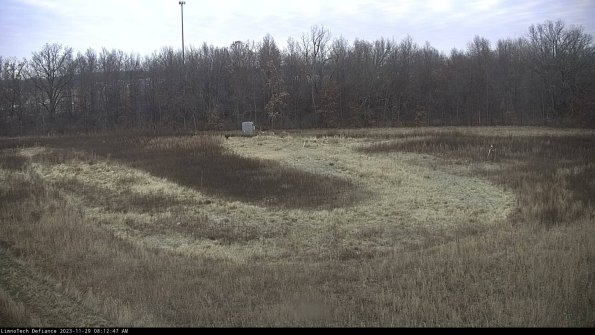 Cell 4_23-11-29_08-12-47-80