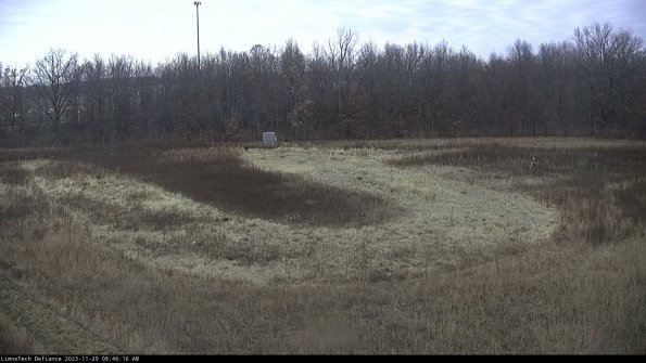 Cell 4_23-11-29_08-46-16-81