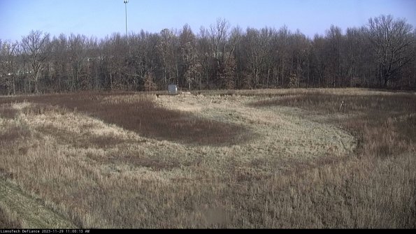 Cell 4_23-11-29_11-00-13-79