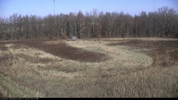 Cell 4_23-11-29_13-14-10-78