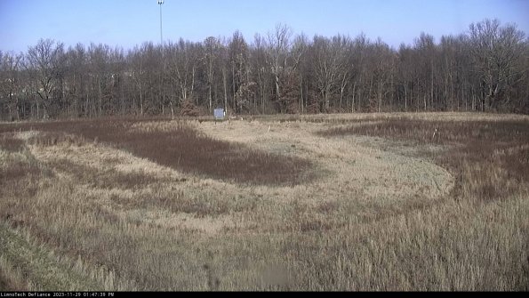 Cell 4_23-11-29_13-47-39-77