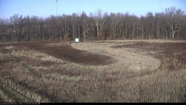 Cell 4_23-11-29_15-28-06-78