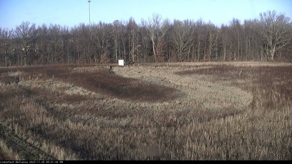 Cell 4_23-11-29_16-01-36-77