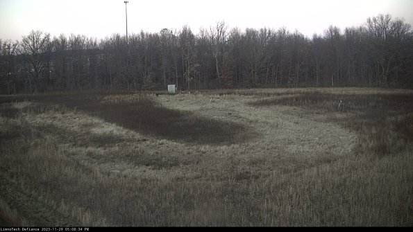 Cell 4_23-11-29_17-08-34-80