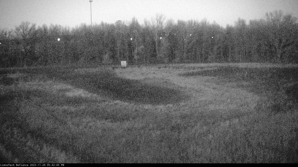 Cell 4_23-11-29_17-42-05-78