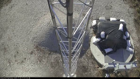 Hatch_23-11-29_11-01-53-76