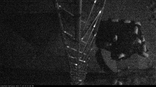 Hatch_23-11-29_19-57-44-77