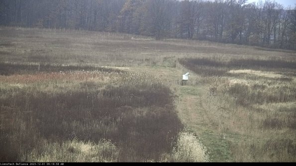 Cell 1 to 2_23-12-01_09-18-58-78