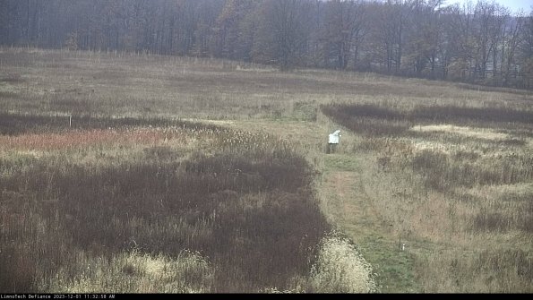 Cell 1 to 2_23-12-01_11-32-58-77