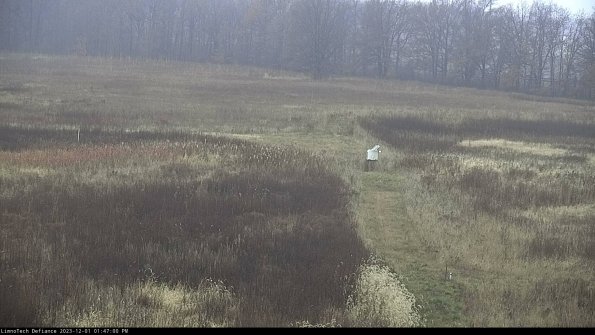 Cell 1 to 2_23-12-01_13-47-00-77