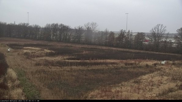 Cell 2_23-12-01_09-19-11-79