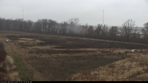 Cell 2_23-12-01_10-59-40-87