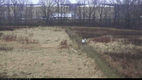 Cell 3 to 4_23-12-01_11-33-53-76