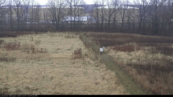 Cell 3 to 4_23-12-01_12-07-25-78