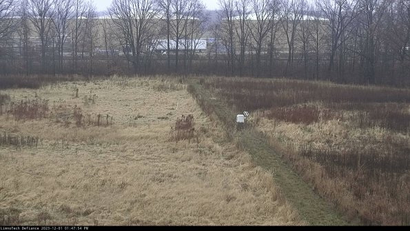 Cell 3 to 4_23-12-01_13-47-54-79