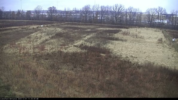 Cell 3_23-12-01_11-33-39-78