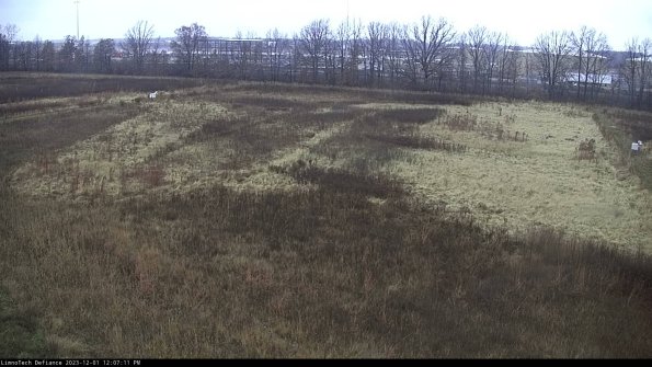 Cell 3_23-12-01_12-07-11-96