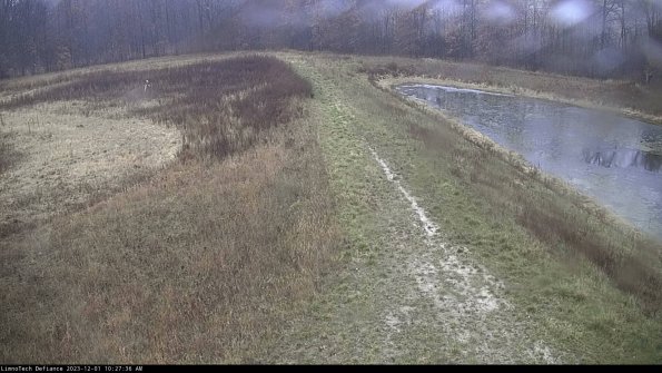 Cell 4 to Basin_23-12-01_10-27-36-77