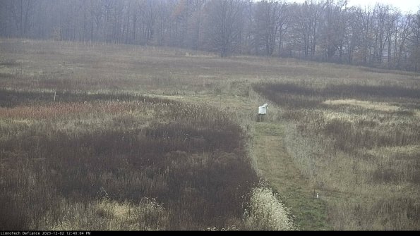 Cell 1 to 2_23-12-02_12-40-04-76