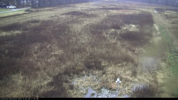 Cell 1_23-12-02_08-11-58-79