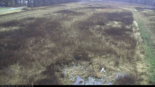 Cell 1_23-12-02_10-25-53-78