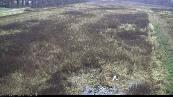 Cell 1_23-12-02_10-59-21-76