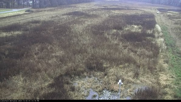 Cell 1_23-12-02_13-13-19-76